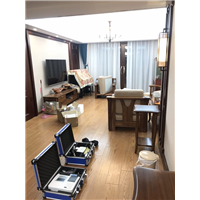 凤凰县正规甲醛检测治理公司