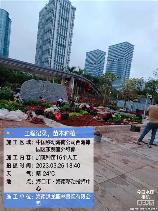 海南中国移动门口花坛绿化项目