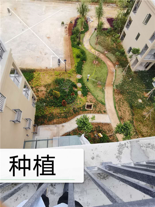园林绿化苗木种植中