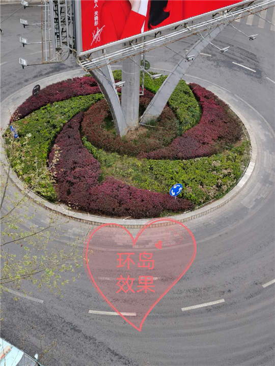 环岛绿化工程