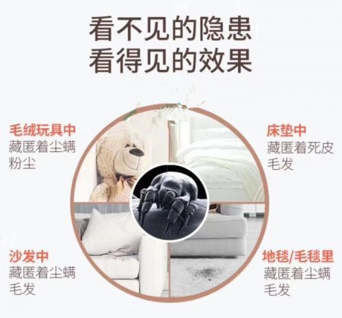 石狮除螨-石狮嘉信螨虫治理