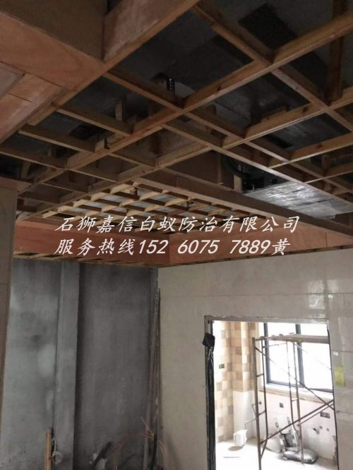 石狮白蚁防治|石狮灭鼠|石狮除四害