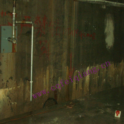 大邑县金堂县专业地下室房屋厂房水池停车场防水防漏堵漏补漏