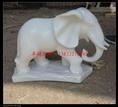 汉白玉小象 石雕工艺品小象  石雕礼品象 石头小象 大理石工艺品加工 