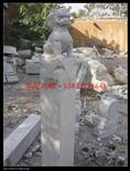 小狮子拴马桩 仿古石雕拴马桩 石头拴马石 古代拴马石 拴马桩 小狮子雕刻 