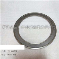 TR100活塞 