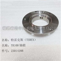 TR100轴毂 