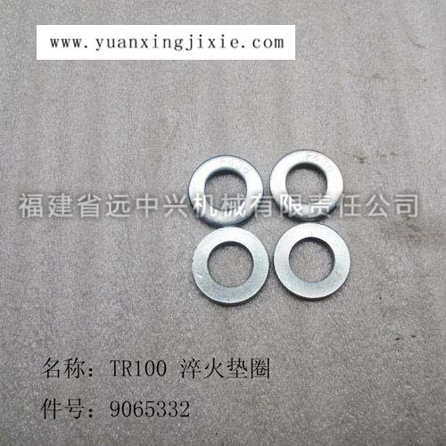 TR100淬火垫圈 