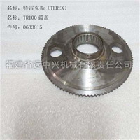 TR100毂盖 