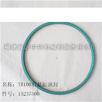 TR100后悬缸油封 