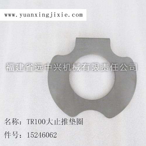 TR100大止推垫圈 