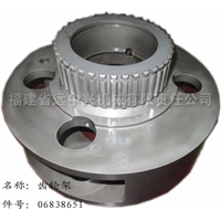 06838651 齿轮架
