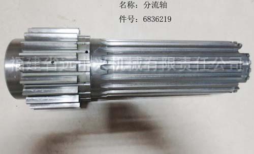06836219 分流轴