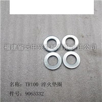 TR100淬火垫圈 