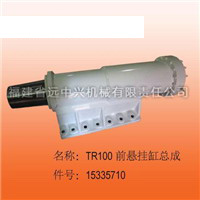 TR100前悬挂缸总成 