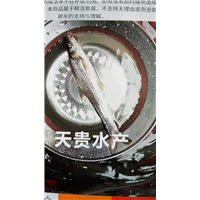 四川银鳕鱼供应商 