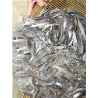 广安青龙捧厂家直销 