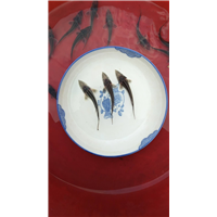 凉山中华鲟哪里有卖 