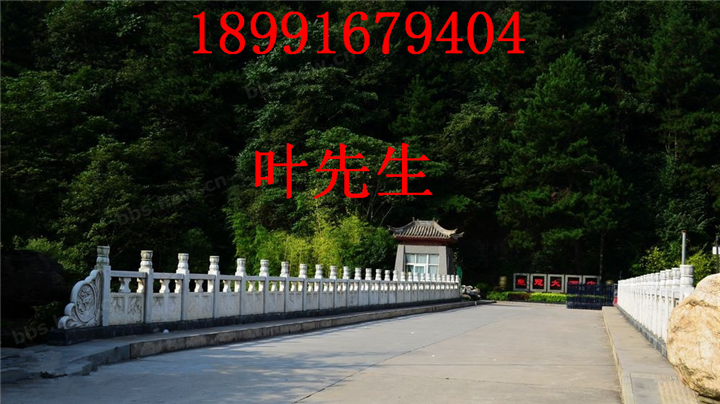 陕西土蜜蜂养殖场