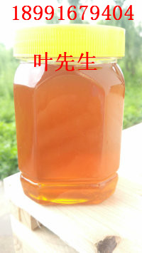 甘肃土蜂蜜%18991679404