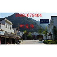 陕西土蜜蜂养殖