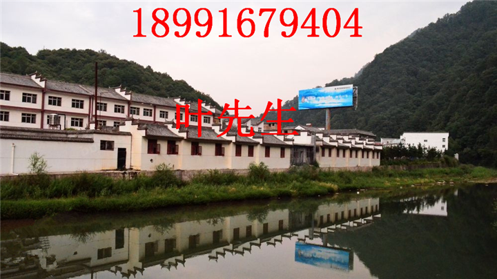 陕西土蜜蜂养殖技术