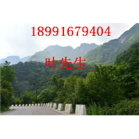 陕西土蜜蜂养殖