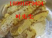 陕西宁陕县皇冠镇小叶土蜜蜂养殖场#