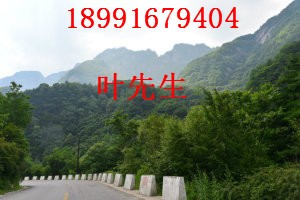 陕西土蜜蜂养殖