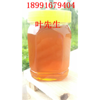 甘肃土蜂蜜%18991679404