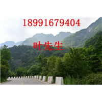 陕西土蜜蜂养殖场地