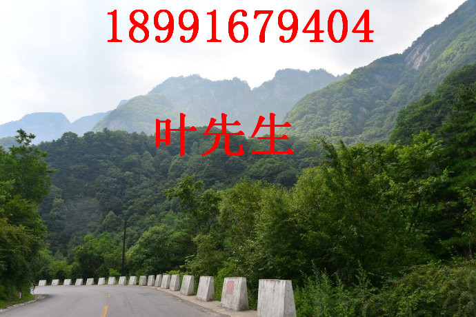 陕西土蜜蜂养殖场地