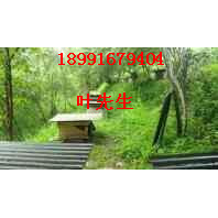 陕西土蜂蜜|土蜂蜜真假辨别方法 