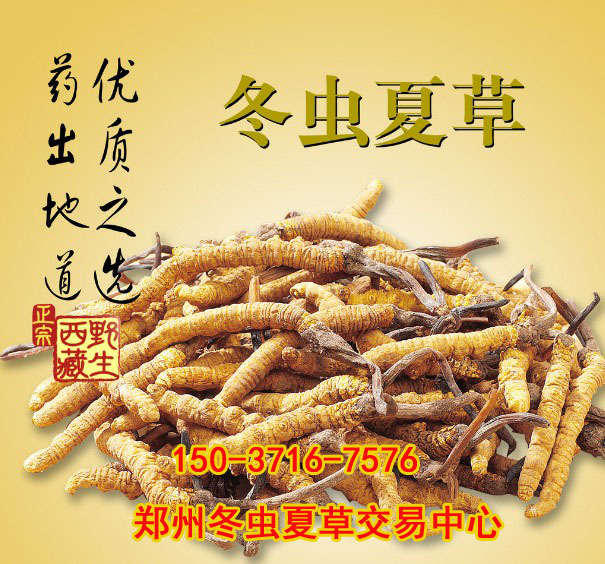 郑州回收虫草多少钱一克？