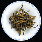 郑州冬虫夏草回收|郑州回收虫草|回收联系方式 