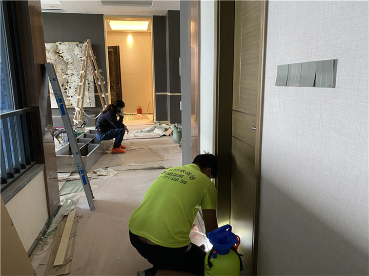 番禺消杀公司