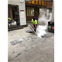 南沙灭白蚁