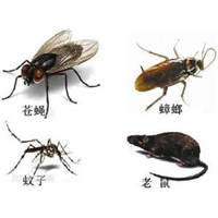 广州番禺灭蚊虫▎广州番禺灭蟑螂 