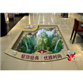 3d地画实拍