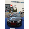 汽车彩绘