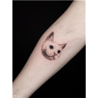 自然湖南入珠设计小猫咪