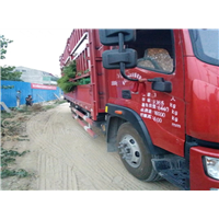 麦冬草装车