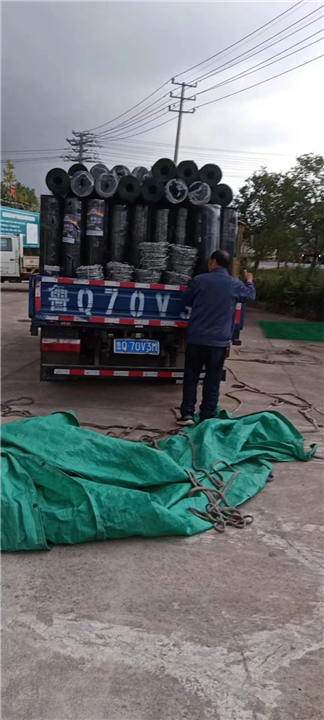 山东荷兰网300卷发往泗阳
