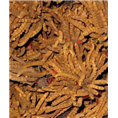 淄博回收购物卡,淄博回收冬虫夏草 