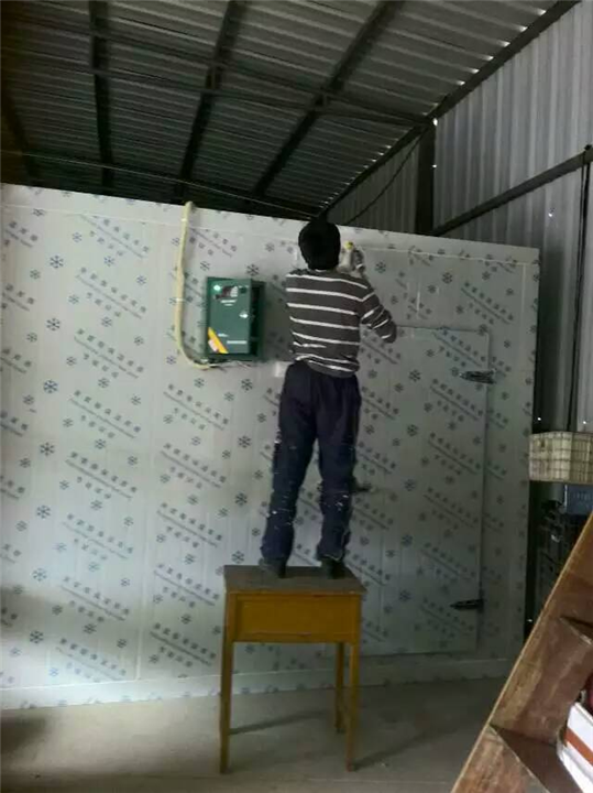 蔬菜冷库安装 