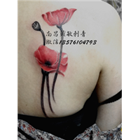南昌洗纹身 