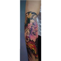 纹身鲤鱼包臂 