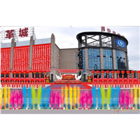 东莞礼仪策划公司/东莞庆典礼仪/东莞表演团队 
