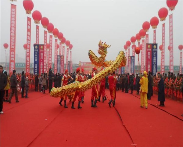 东莞舞龙舞狮醒狮/庆典舞龙舞狮提供 
