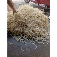 折耳根是鱼腥草吗?